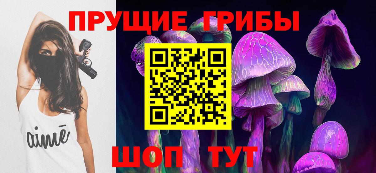 Псилоцибиновые грибы Psilocybine cubensis Ачхой-Мартан