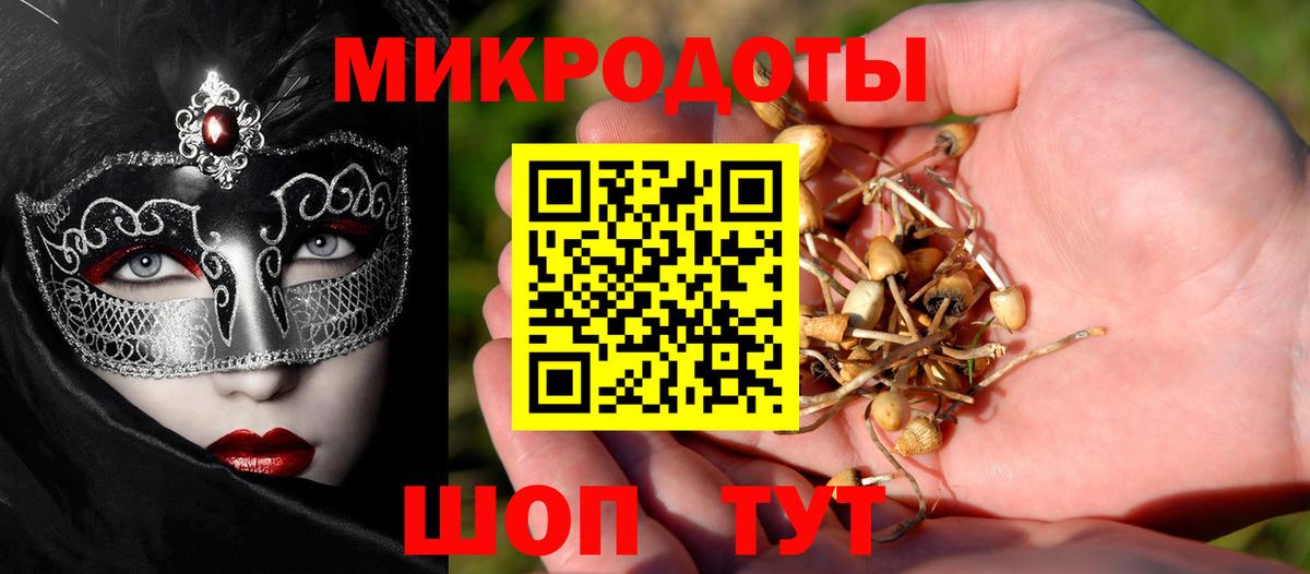 Псилоцибиновые грибы Psilocybine cubensis  Вход с VPN  Ачхой-Мартан 