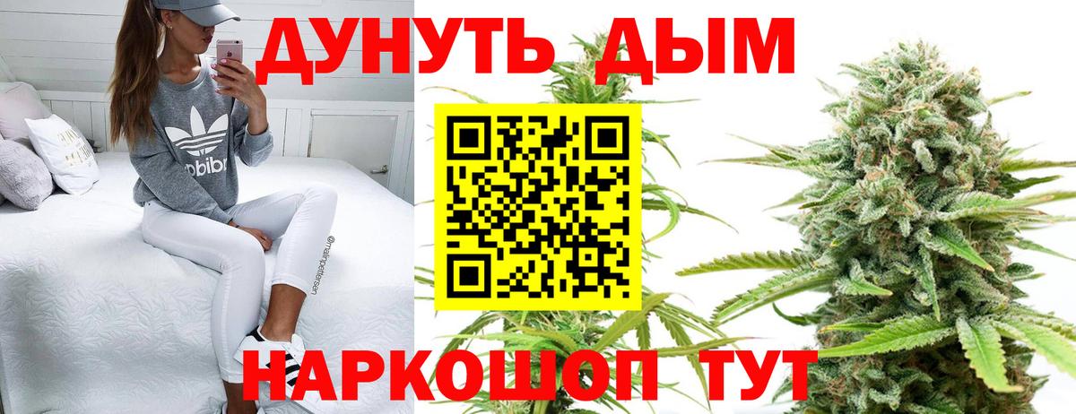 Бошки Шишки Amnesia Ачхой-Мартан
